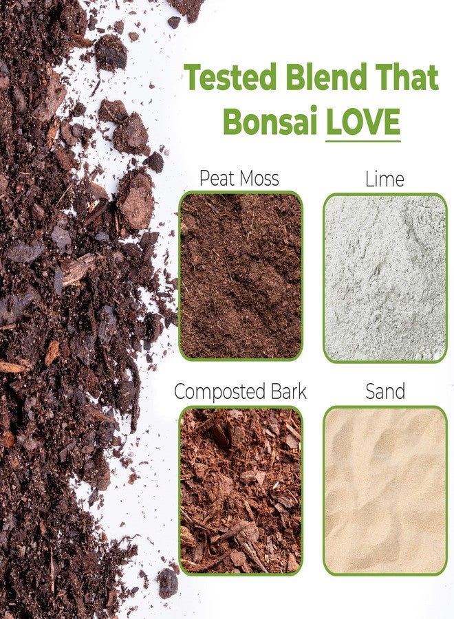 PERFECT PLANTS تربة بونساي من بيرفكت بلانتس - 8 كوارت. مزيج ممتاز متعدد الأغراض | مثالي للعديد من أشجار البونساي | مصنوع بكميات صغيرة في الولايات المتحدة الأمريكية - Image 2